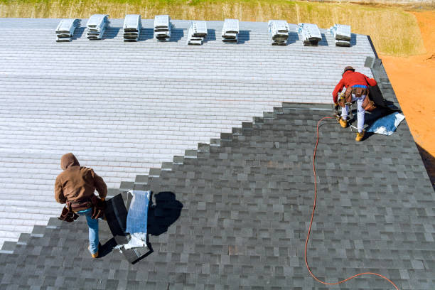 Best Roof Restoration Services  in Braddock, PA