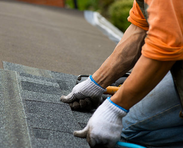 Best Roofing Contractor Near Me  in Braddock, PA