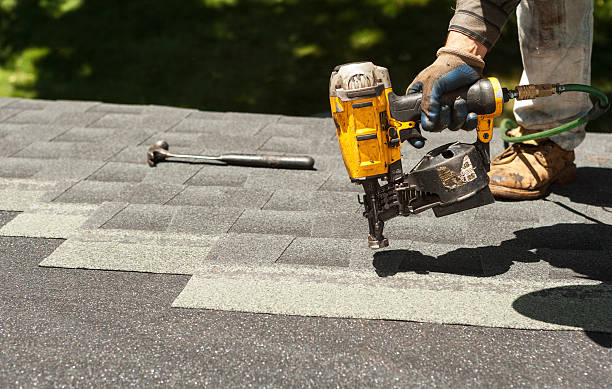 Best Roof Gutter Cleaning  in Braddock, PA