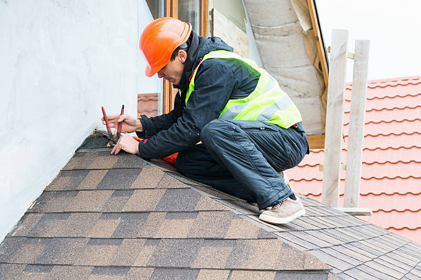 Best Local Roofing Companies  in Braddock, PA