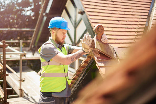 Professional Roofing Contractor in Braddock, PA