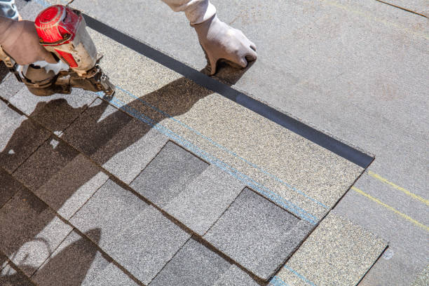 Best Storm Damage Roof Repair  in Braddock, PA