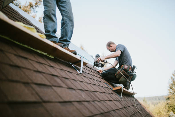 Best Roof Leak Repair  in Braddock, PA